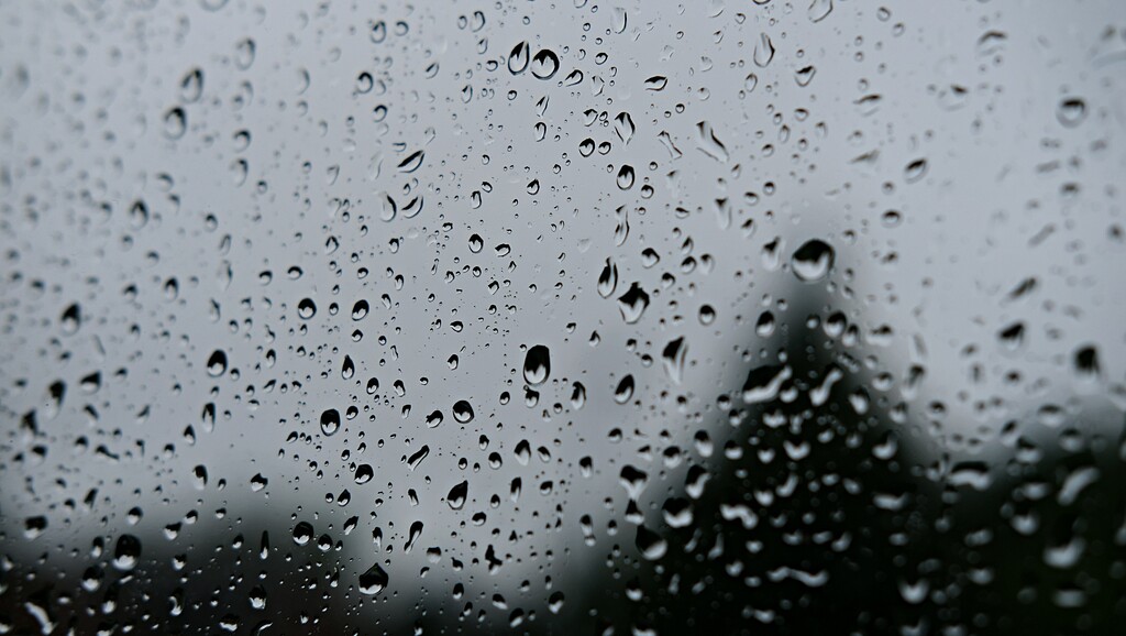 rain by kametty