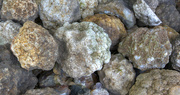 22nd May 2024 - Kentucky Geodes