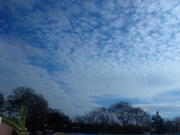 9th Mar 2024 - Bright morning sky