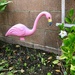 Flamingo by loweygrace
