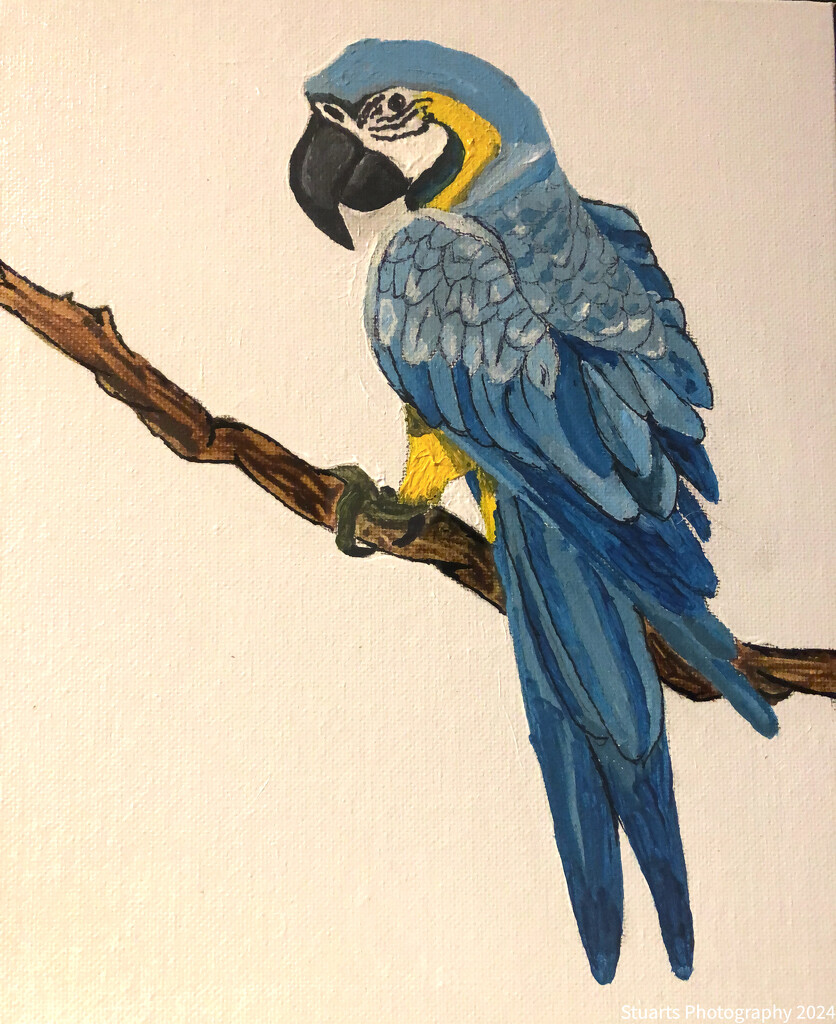 Parrot (painting) by stuart46
