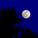 Full moon by danette