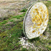 Round stones! by bigmxx