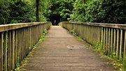 23rd May 2024 - 144/366 - Dearne Valley Park, Barnsley, UK