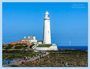 23rd May 2024 - St.Mary's Island,Whitley Bay