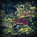 Zen garden by mastermek
