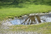 23rd May 2024 - Just A Puddle In The Driveway...