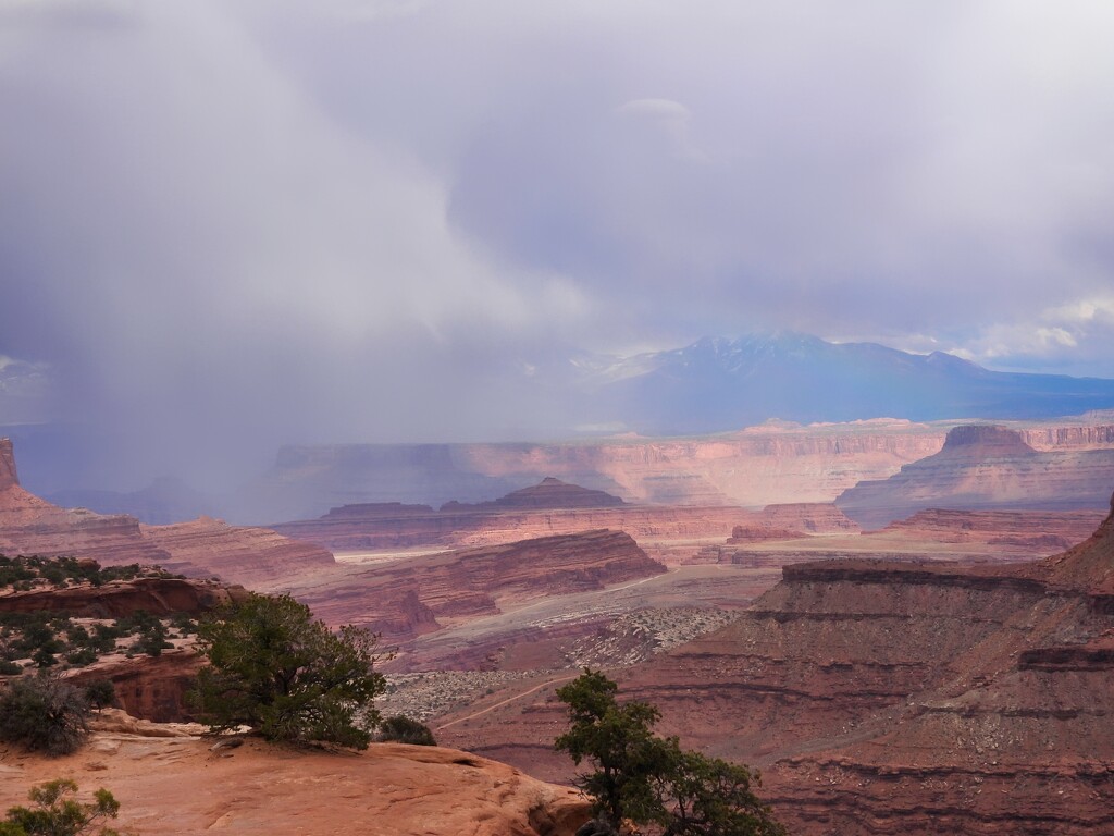 Island in the Sky, Canyonlands National Park, Utah, USA by janeandcharlie