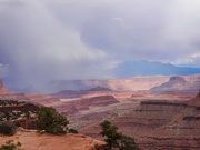 24th May 2024 - Island in the Sky, Canyonlands National Park, Utah, USA