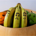 Fruit Faces by pcoulson