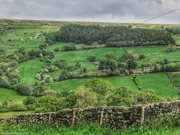 24th May 2024 - Farndale again