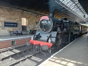 11th May 2024 - Steam engine