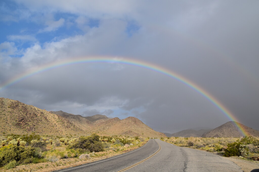 Rainbow Over The Road In Joshua Tree. by bigdad