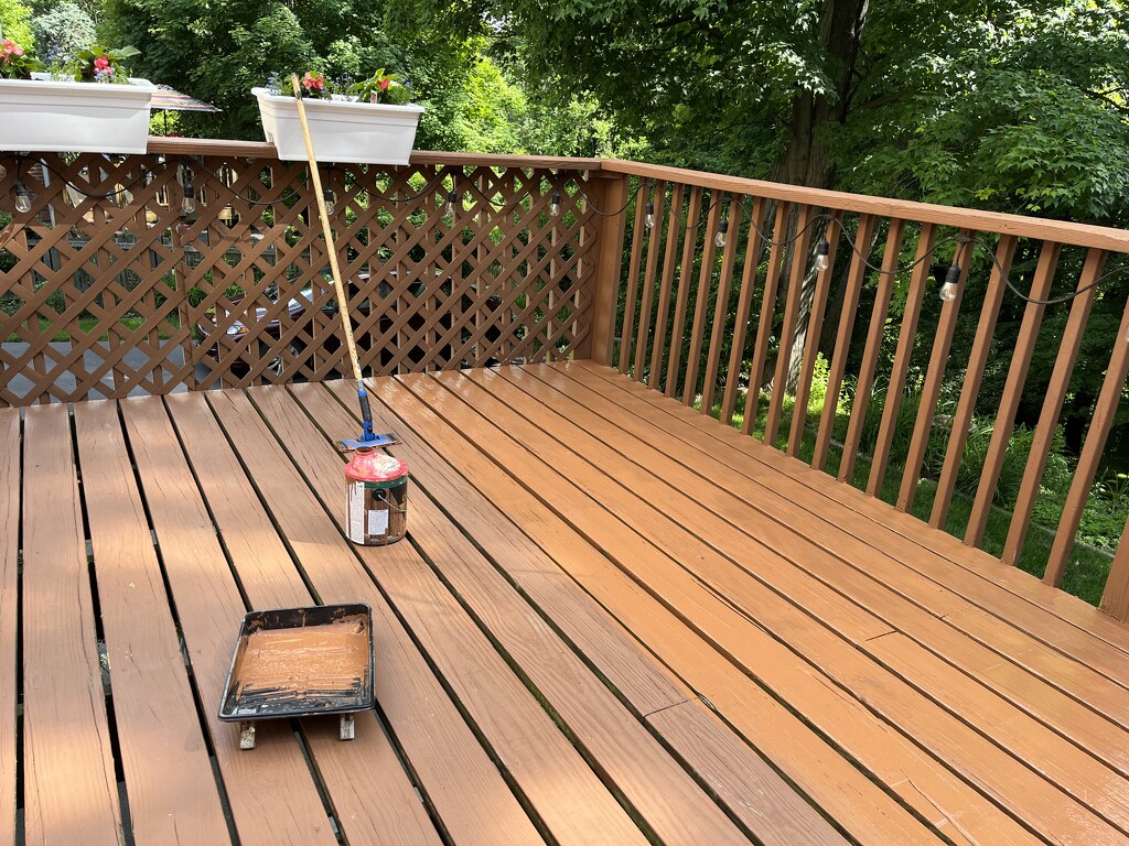 Deck Staining by pej76