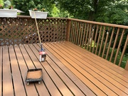 25th May 2024 - Deck Staining