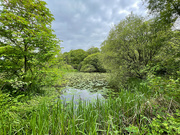 25th May 2024 - RSPB Lochwinnoch