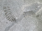25th May 2024 - Footprints