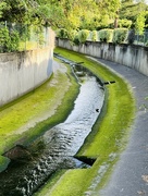 24th May 2024 - Green curve 