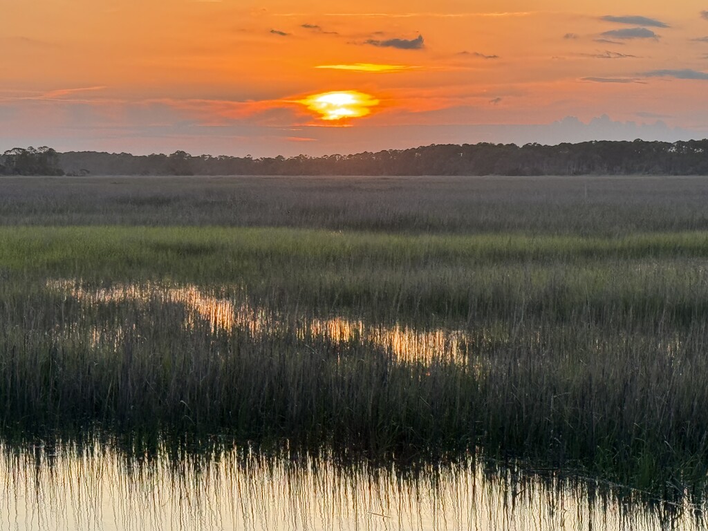 Marsh sunset by congaree