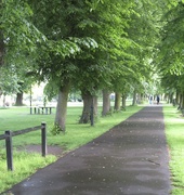 26th May 2024 - Cambridge is GREEN