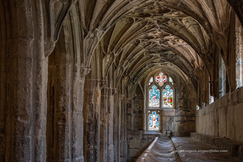 Gloucester Cathedral 3 by nigelrogers