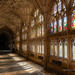Gloucester Cathedral 4 by nigelrogers