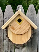 26th May 2024 - New Birdhouse