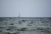 26th May 2024 - Falmouth #3 - Sailing 