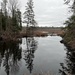 The Beaver Pond in Spring by sunnygreenwood