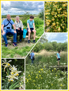 27th May 2024 - Walk Wicken Fen