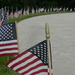 American Flags at Veterans Memorial  by sfeldphotos