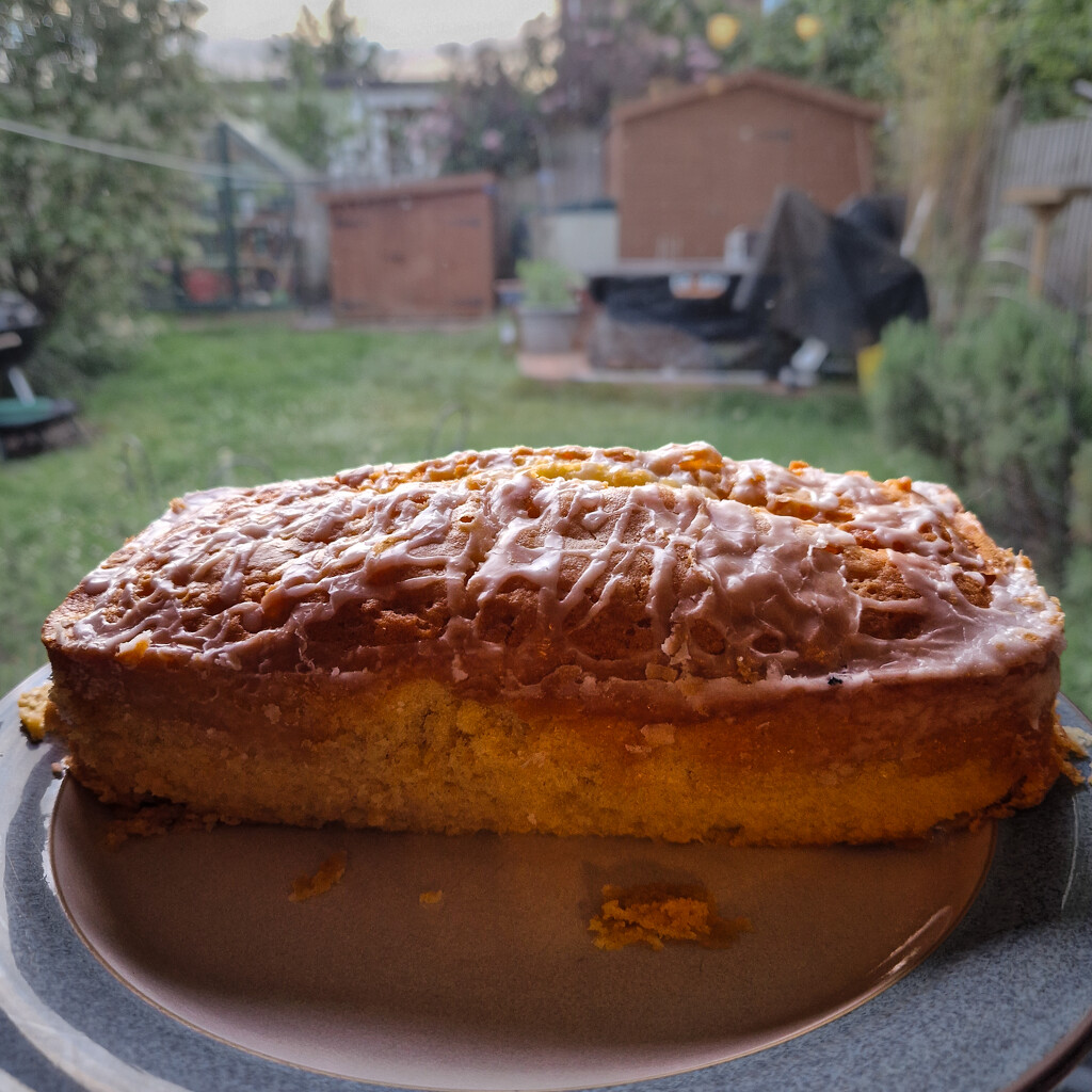 Lemon drizzle cake by andyharrisonphotos