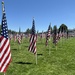 Field of Honor by pirish