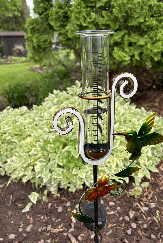 New rain gauge by mltrotter