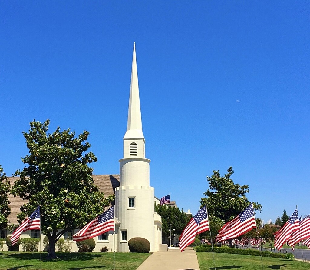 Memorial Day by gardenfolk