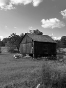 29th May 2024 - Abandoned barn 
