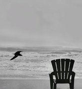 28th May 2024 - Come sit with me..