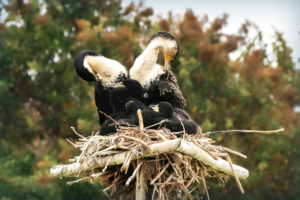 Proud parents by ludwigsdiana