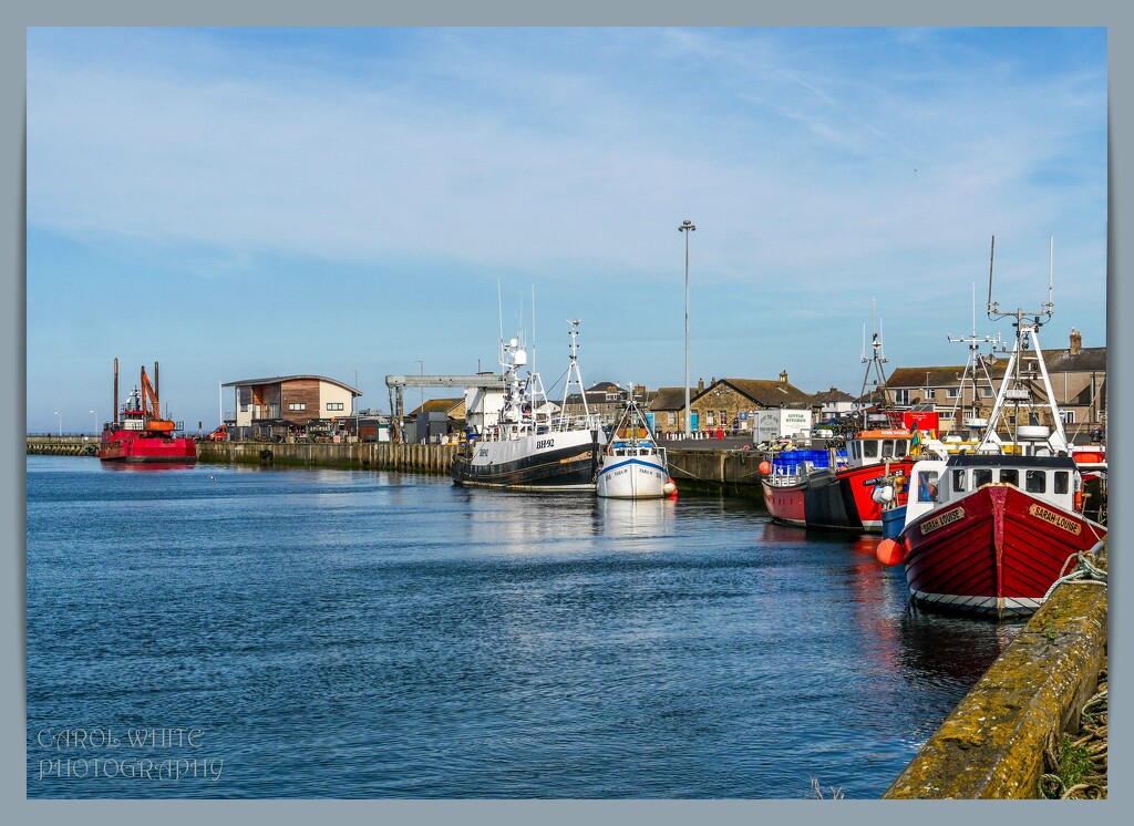 Amble Harbour by carolmw