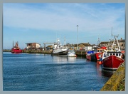 29th May 2024 - Amble Harbour