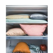 29th May 2024 - Put a Pillow on Your Fridge Day