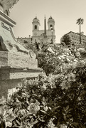 10th Apr 2024 - Flowers at the Spanish Steps