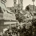 Flowers at the Spanish Steps