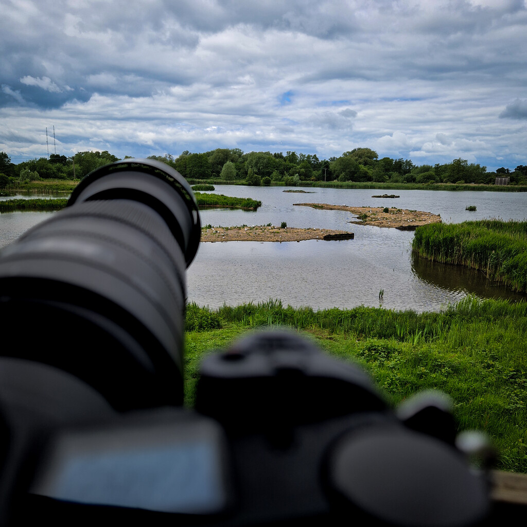 The view from the hide by andyharrisonphotos