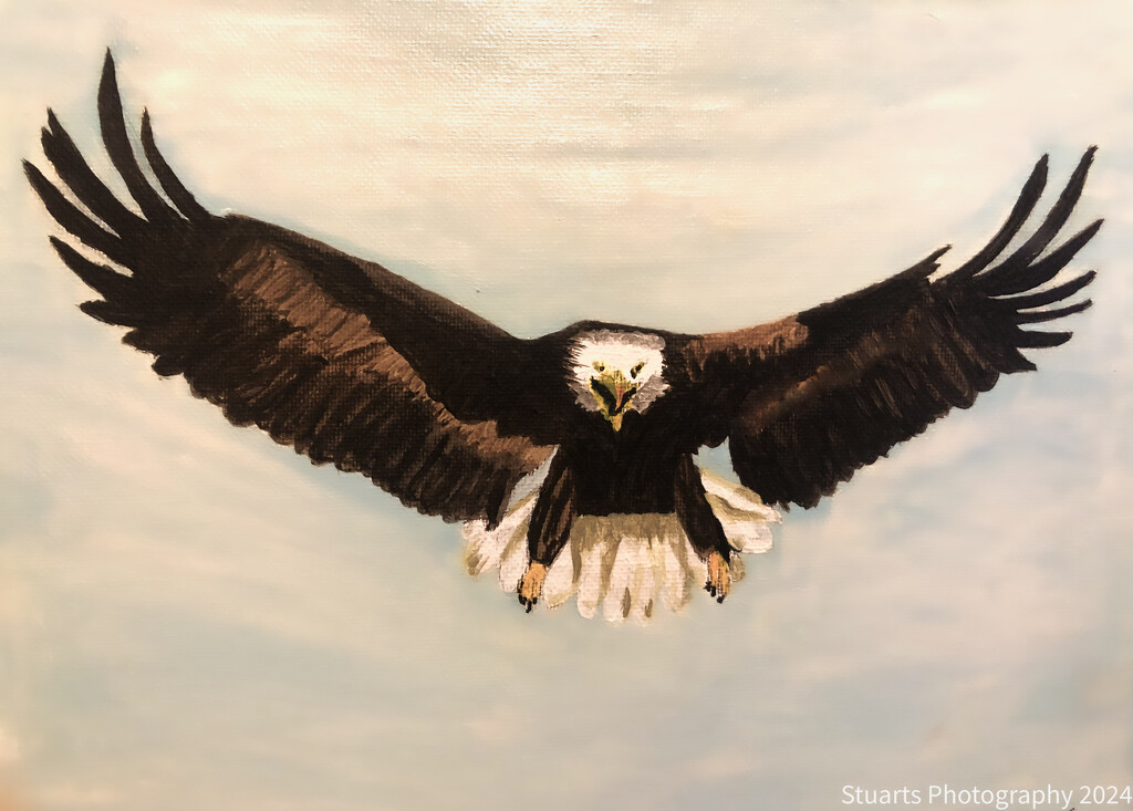 Eagle 2 (painting) by stuart46