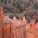 Bryce Canyon N.P. by bigdad