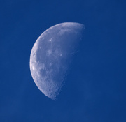 30th May 2024 - Moon Shot