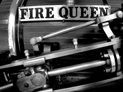 29th May 2024 - FIRE QUEEN.