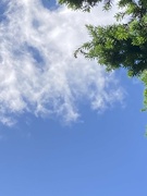 30th May 2024 - Half Cloud, Half Blue Sky