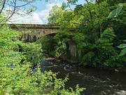 29th May 2024 - The River Derwent 